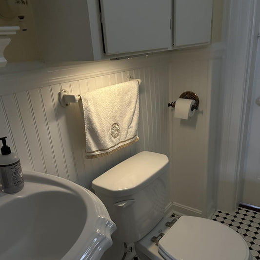 Gluroo Adjustable Brightness Motion Sensor Light