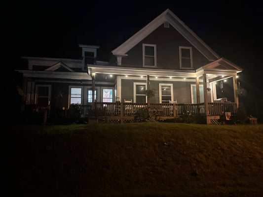 Gluroo led string lights with remote