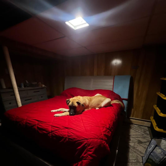 Gluroo recessed light