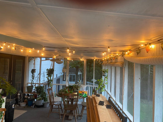 Gluroo st38 led string lights