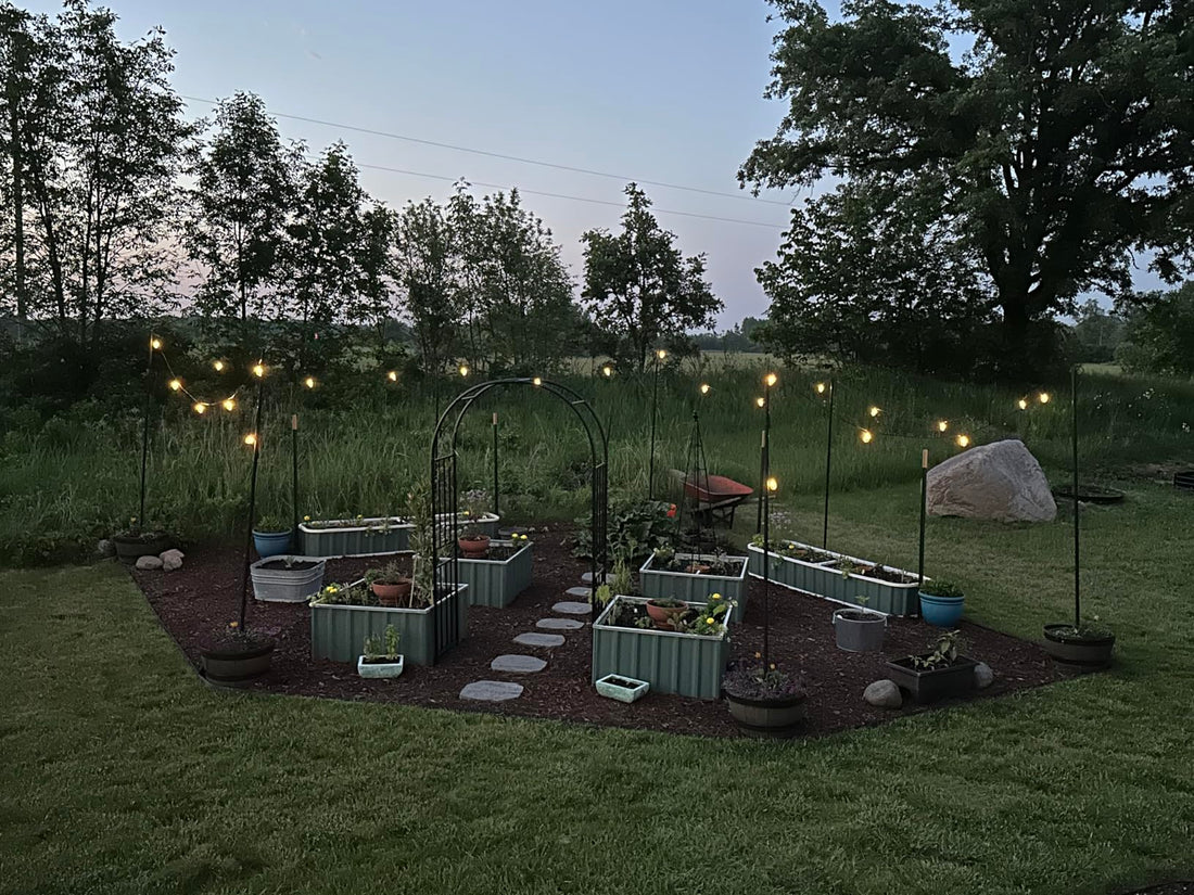 Gluroo outdoor string lights with remote control