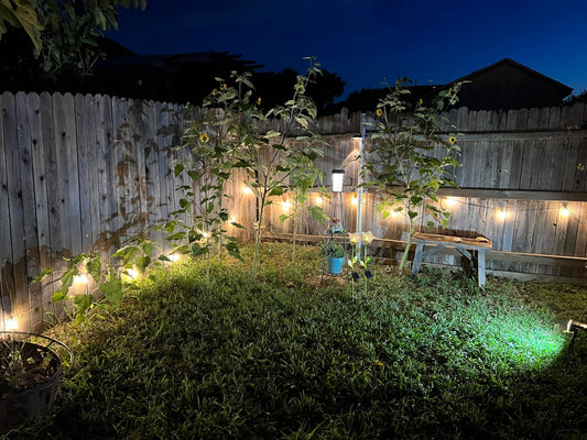 Gluroo string light bulbs outdoor