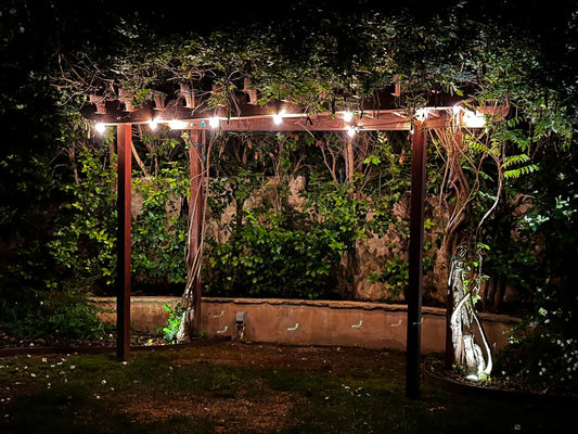 Gluroo G40 Bulbs Shatterproof Patio Lights