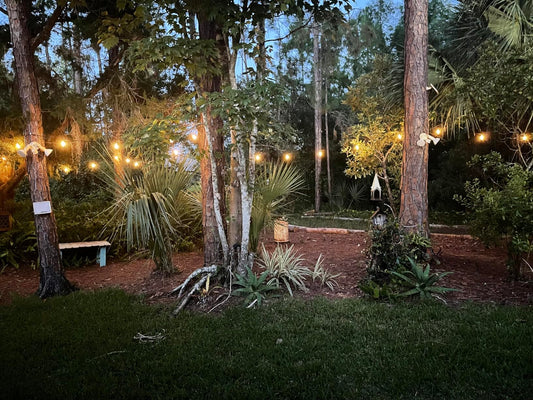 Gluroo LED Light String