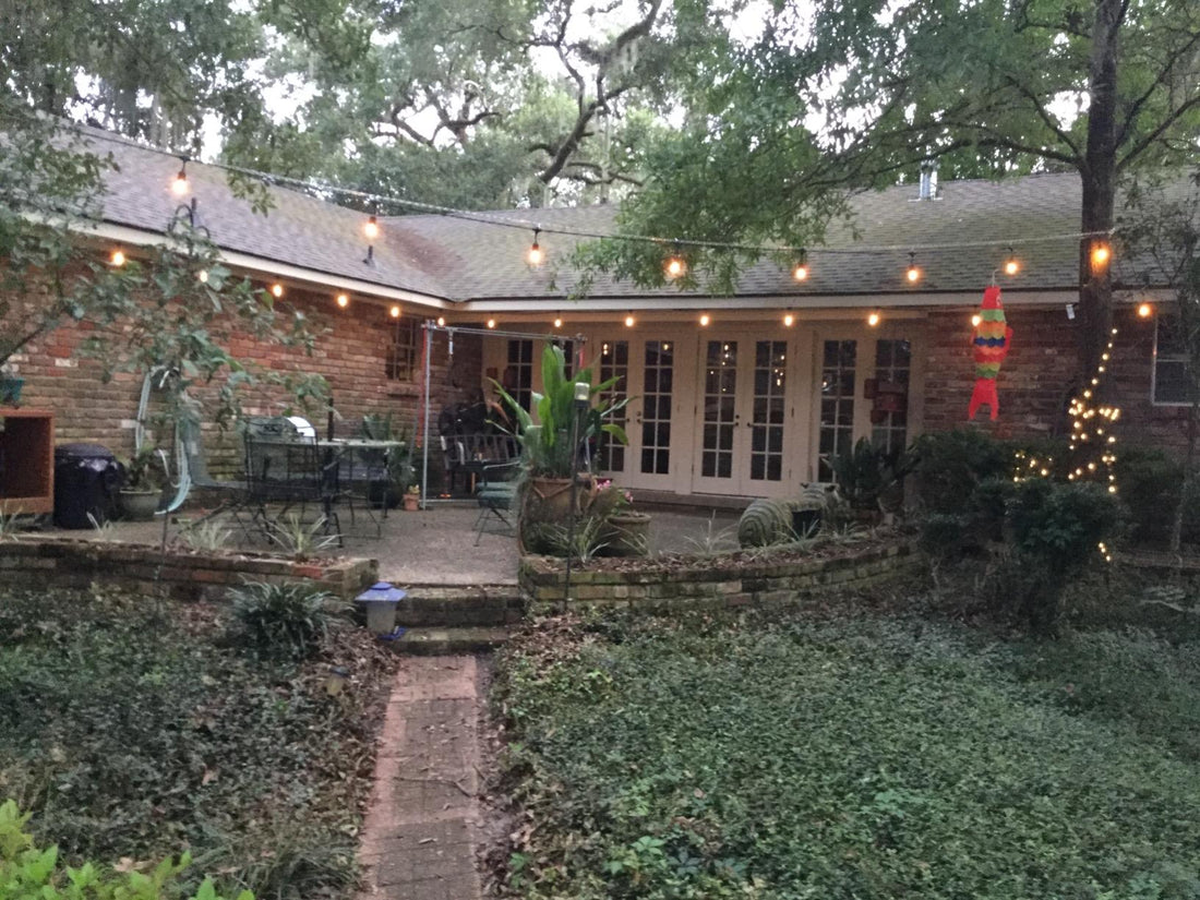 solar powered fairy lights
