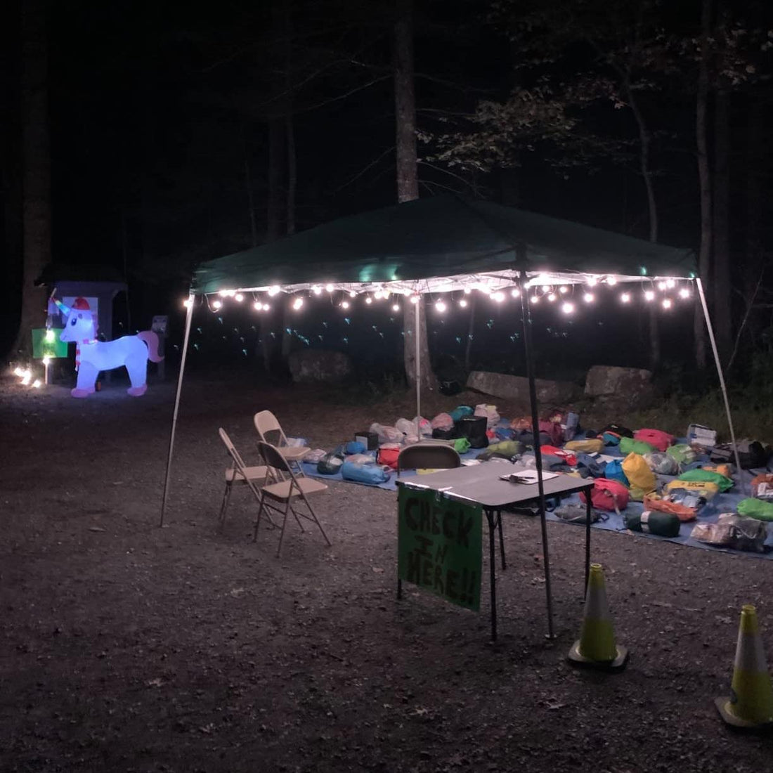 Gluroo string light design backyard