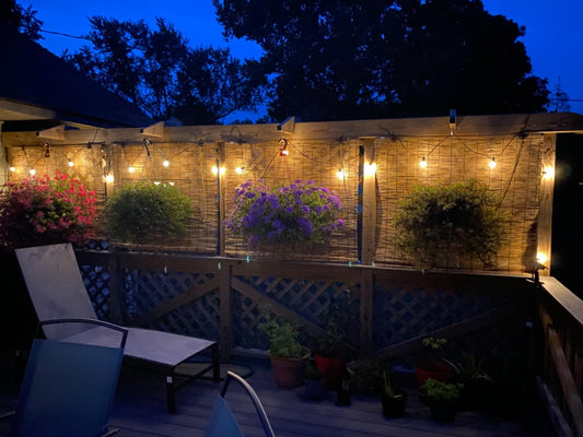 solar string lights outdoor