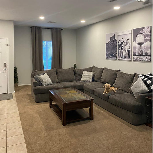 Gluroo 6-Inch recessed ceiling lights​