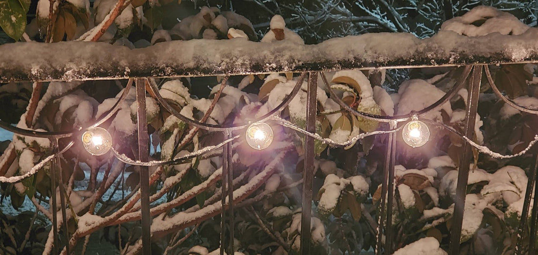 Clear Outdoor String Lights