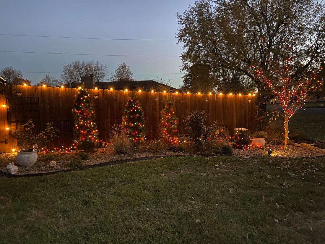 edison bulb string lights