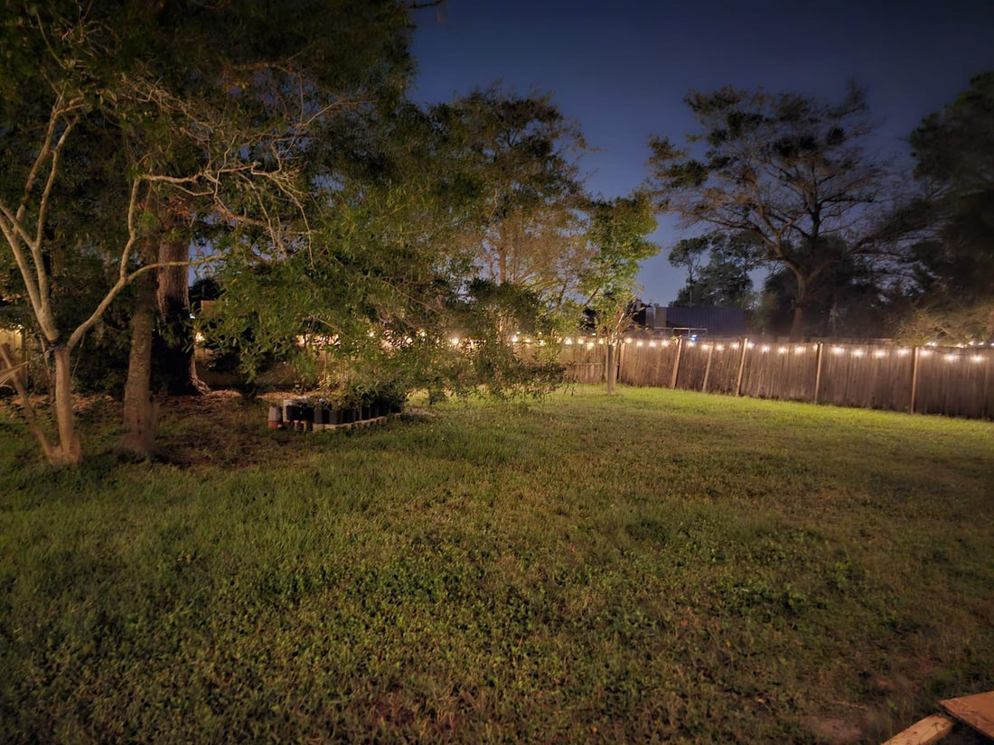 patio lights