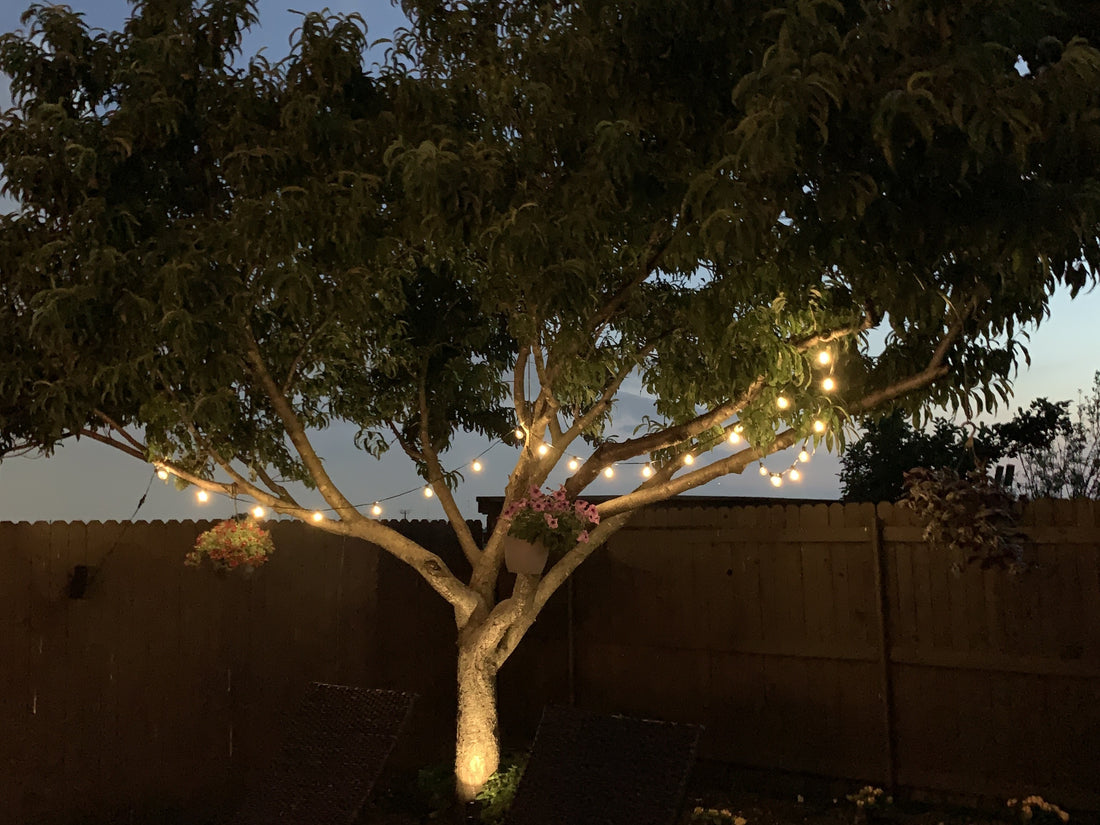 solar string lights bright