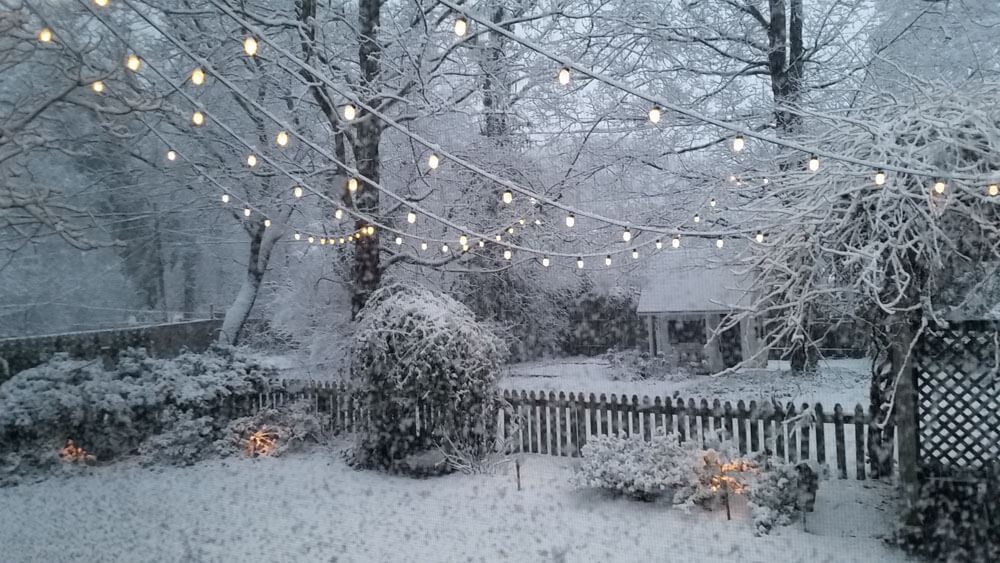 String Lights Winter Outdoor