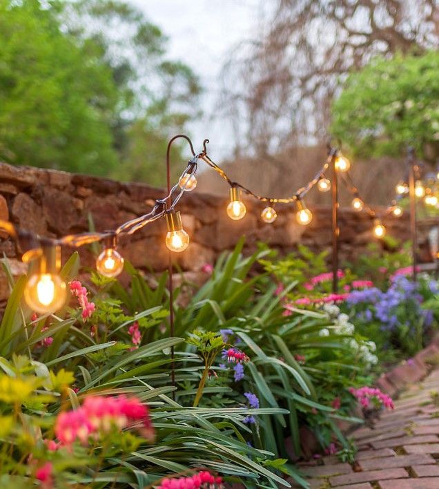 camping string light