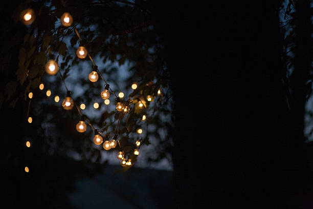 solar edison bulb string lights