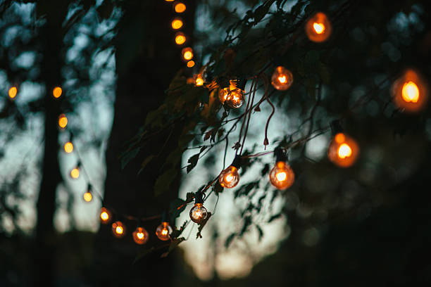 Solar Power String Lights