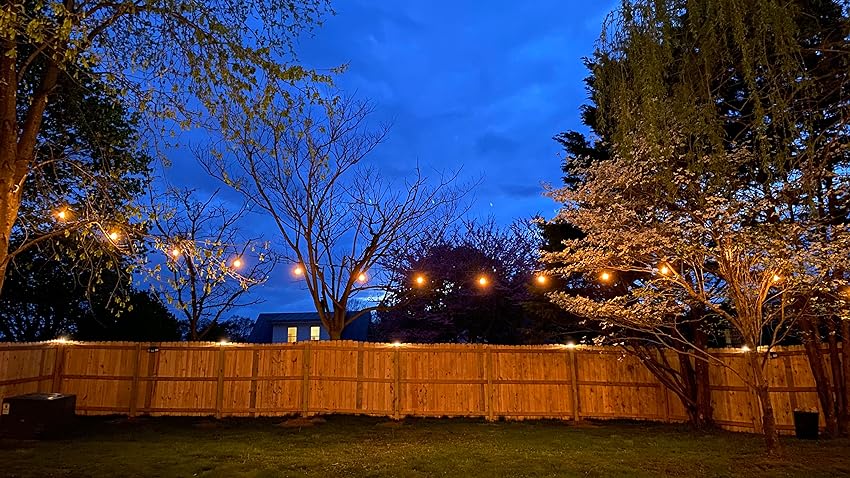 String Lights Backyard